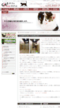 Mobile Screenshot of cathotel.jp
